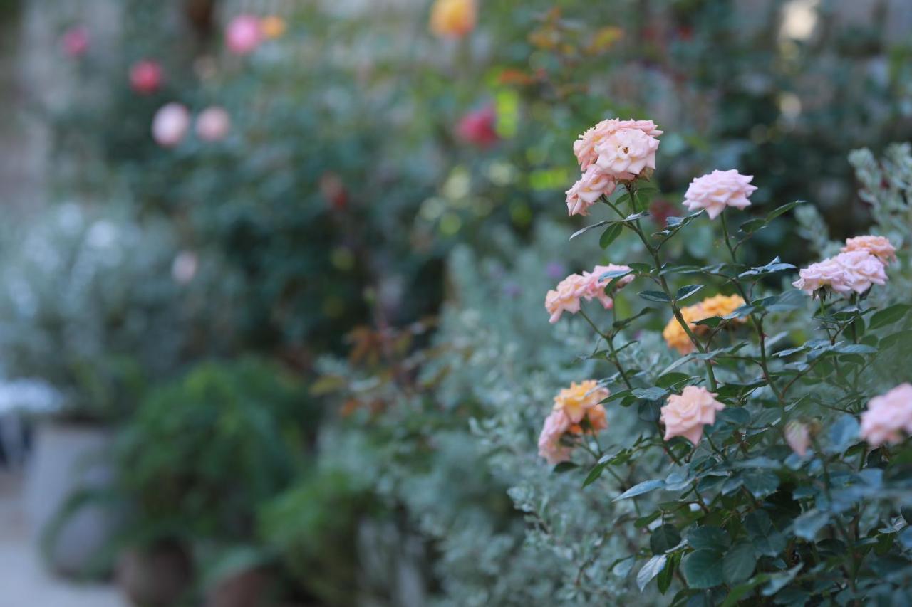 La Vie En Rose 2 Hotel Dalat Bagian luar foto